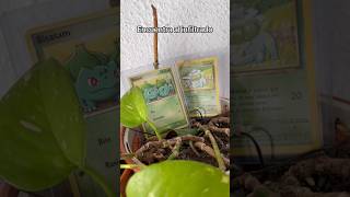 Encuentra el pokemon infiltrado… #pokemon #PokemonTCG #bulbasaur