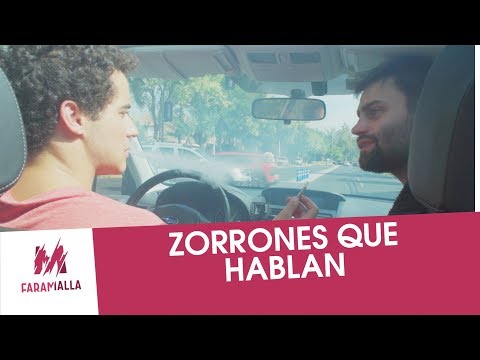 ZORRONES QUE HABLAN