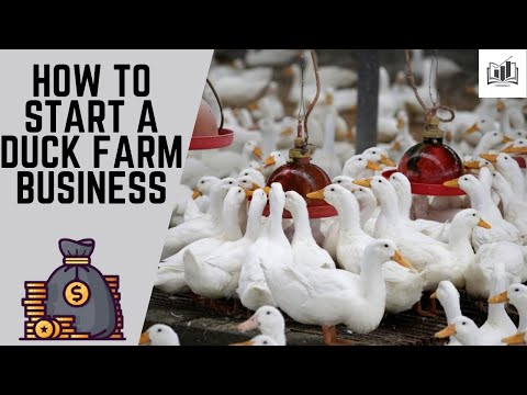 , title : 'How to Start a Duck Farm Business | Starting a Small Duck Farm Business'
