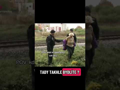 policie v akci, bláznivá ženská 😂😂#memes