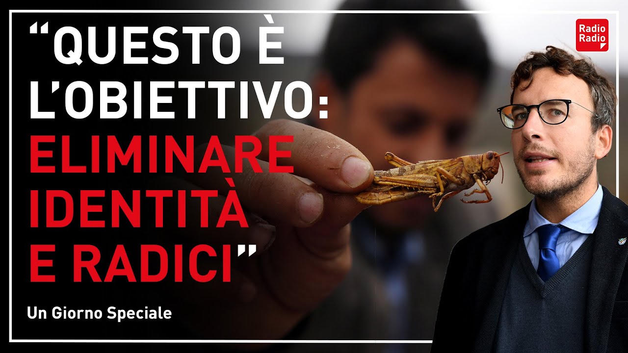 "MANGERETE INSETTI E SARETE FELICI"  | Con Diego Fusaro