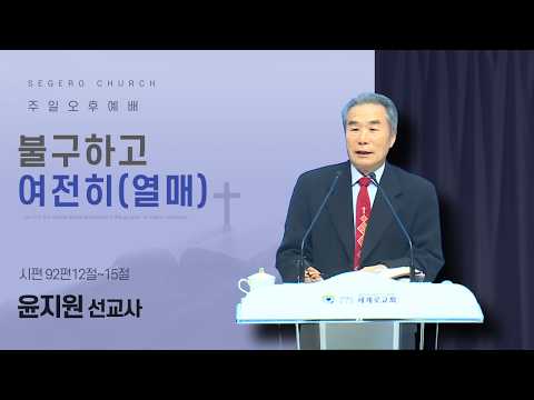 [2026-03-15] 주일오후예배 윤지원 선교사 : 불구하고 여전히(열매) (시92편12절~15절)