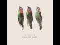 Carsick Cars - 野草(wild grass) 