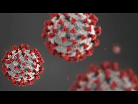 A Doctor In The Pandemic: Episode 39 "Covid, CNN and Fox"