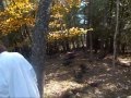 The Mysterious Crack in Michigan - Earthquake.