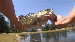 PTL Swinging hammer gets hammered.