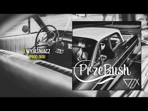 DZX - Wyjaśniacz
