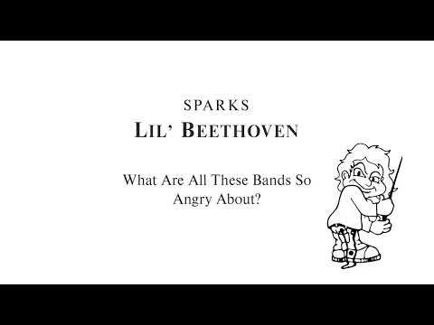 What Are All These Bands So Angry About? - Sparks