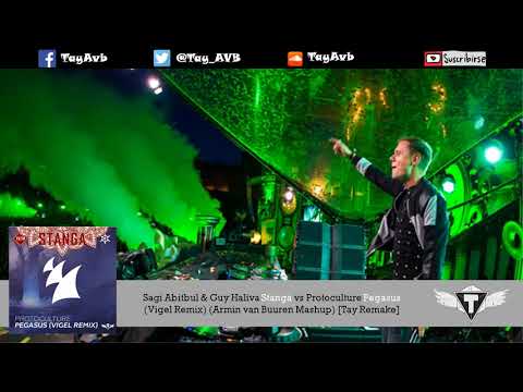 Sagi Abitbul & Guy Haliva Stanga vs Protoculture Pegasus (Armin van Buuren Mashup) [Tay Remake]