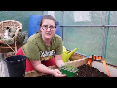 Lördag kväll och ösregn. Då är vi i vår tunnel!