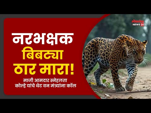 “नरभक्षक बिबट्या ठार मारा! माजी आमदार स्नेहलता कोल्हे यांचा थेट वन मंत्र्यांना फोन