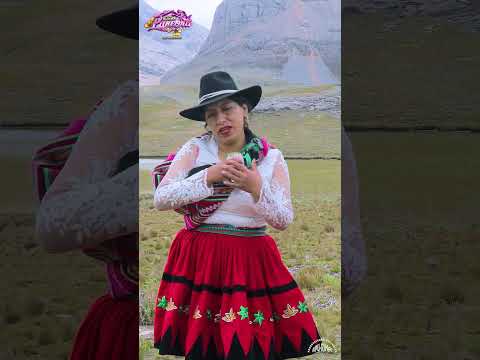 Las Hermanas Panebra/Pasame La Pilsen/Toril Grau Apurimac #shorts