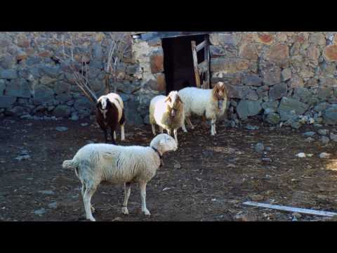 D 305 UNA MIRADA A CASAS DE NAVANCUERDA ANEJO DE SANTIAGO DEL COLLADO
