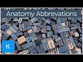 49 S NURSING ABBREVIATION