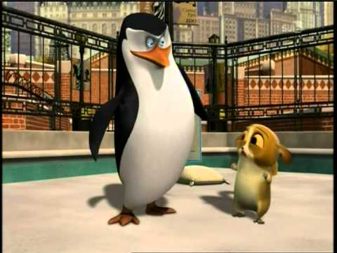 Madagascarin pingviinit - Alokas "kakkonen"