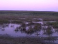 Duck Hunting - Iowa Early Season - Blood Calls ...