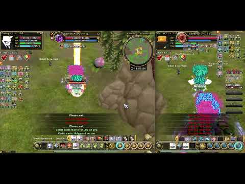 FLYFF UNIVERSE MENTALIST FACETANK