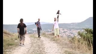 preview picture of video 'Falconieri L'Aquila - Falconry in L'Aquila, Italy'