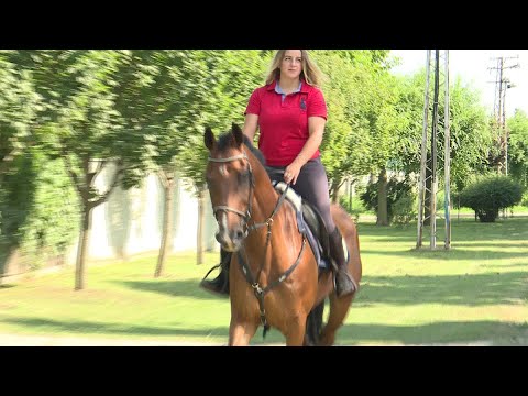 Vajdasági Futam –  Bácsfeketehegy