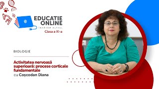 Activitatea nervoasă superioară: procese corticale fundamentale