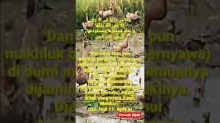 Download lagu Story wa Islami | Semua Makhluk sudah ada jatah rezekinya #shorts #alquran mp3 Download lagu Story wa Islami | Semua Makhluk sudah ada jatah rezekinya #shorts #alquran mp3