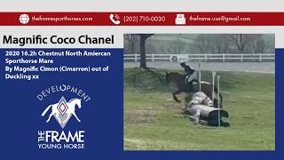 Download lagu Magnific Coco Chanel ** MDHT Highland Series Horse Trials Beginner Novice XC mp3 Download lagu Magnific Coco Chanel ** MDHT Highland Series Horse Trials Beginner Novice XC mp3