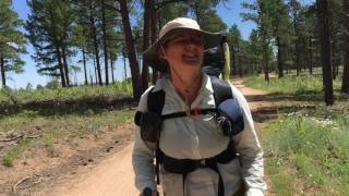 Colorado Trail VLOG--Day 3--Buffalo Creek to Tramway Creek