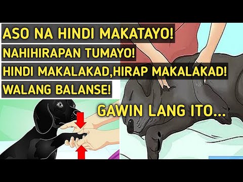 GAMOT SA ASO NA HINDI MAKALAKAD/HIRAP MAGLAKAD/HINDI MAKATAYO/HIRAP MAKATAYO/WALANG BALANSE!!