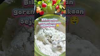 Download lagu Gorengan lagi aja besty 😁 #videoshortviral #cooking #food #gorengan mp3 Download lagu Gorengan lagi aja besty 😁 #videoshortviral #cooking #food #gorengan mp3