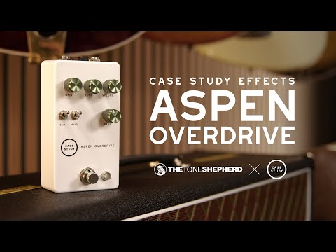 Case Study Effects Aspen Overdrive 2025 - White (Expandora/Kilt clone) image 4