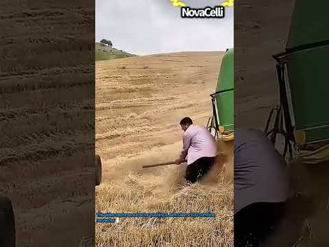 John Deere Combine Harvester Assisted By Tractor #worker #process #johndeere #agriculture #fieldwork