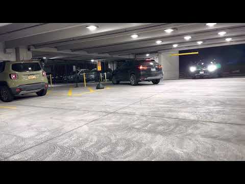 The Carraway Parking Garage, Cameras, Security and Dogs! Google 3.9 Star Harrison Rental Community.