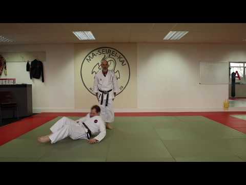 MSK Martial Arts - saifa flow drill of bunkai
