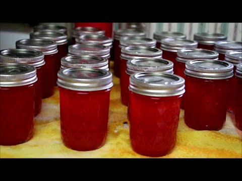 download lagu mp3 mp4 Watermelon Mint Jelly, download lagu Watermelon Mint Jelly gratis, unduh video klip Watermelon Mint Jelly