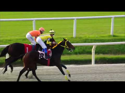 230604 c06 - FAST LADY - HIPODROMO DE MAROÑAS