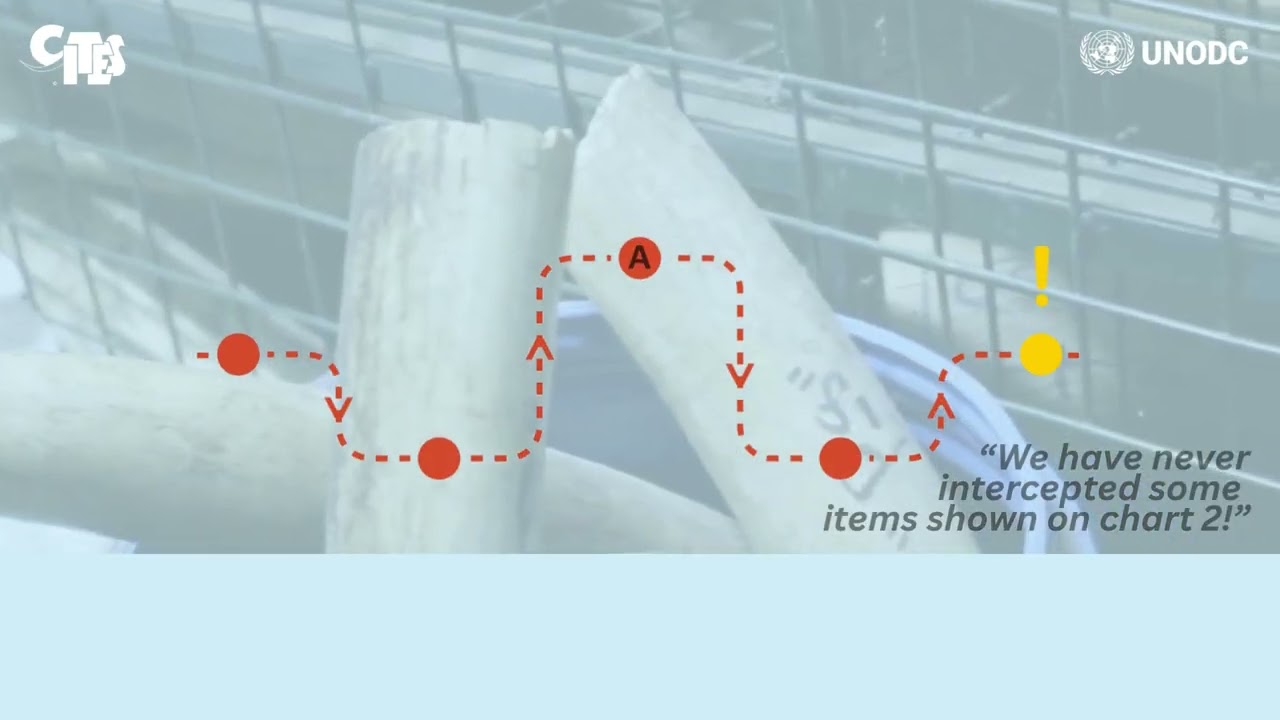 CITES Illegal Trade Database