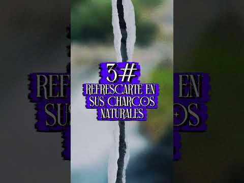 5 curiosidades q debes vivir si visitas Cisneros Antioquia Colombia