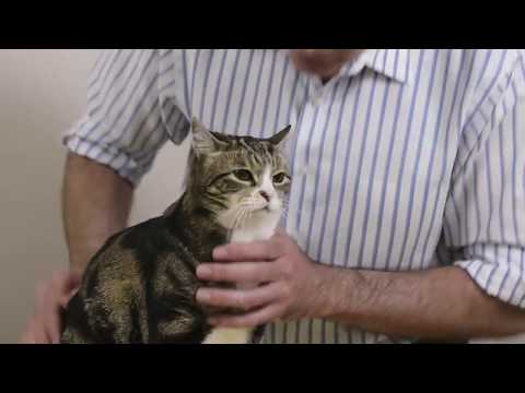 Pier here is obviously very into people