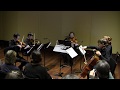 Franz Schubert: String Quintet D. 956 - I. Allegro ma non troppo
