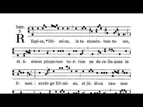 Dominica XIII post Pentecosten (XIII Sunday after Pentecost) - Introitus (Respice Domine)