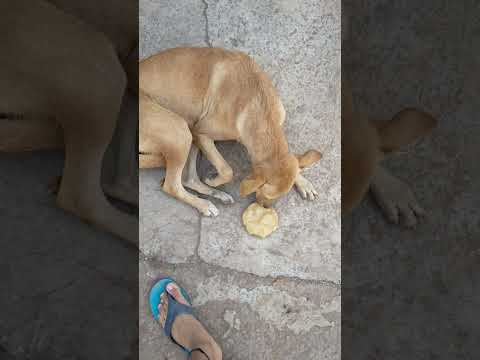 Jain Indraneel road 🛣️