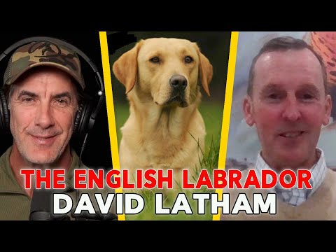 The English Labrador Retriever with David Latham - Episode 126