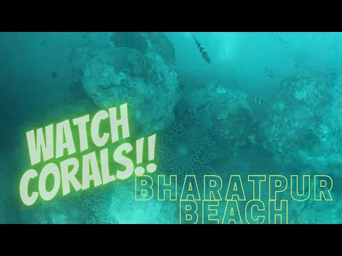 Andaman Travel!!Watch Corals!!Bharatpur Beach!!Neil Island!!Incredible India💦🌊