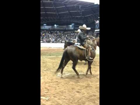 Piales  torneo  del  1,000,000  Rancho  el  pitayo