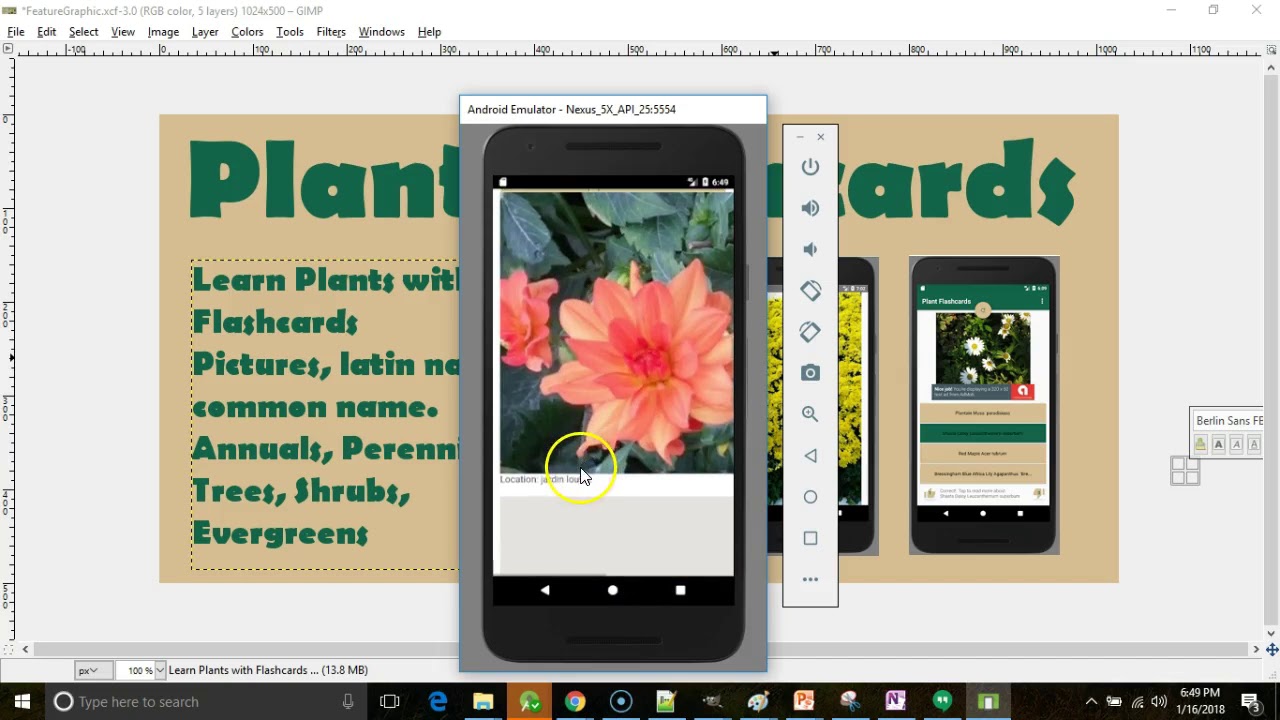 Plant Flashcards Android App User Guide