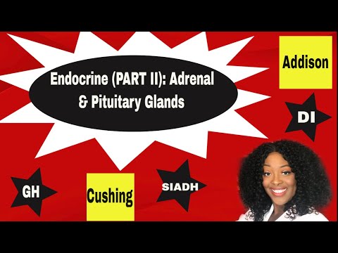 Endocrine System: Adrenal and Pituitary Part II 2