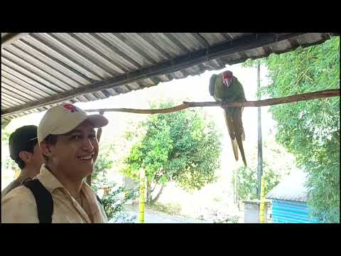 ZOO EL ARCA 🐾 ARCHIDONA/NAPO/ EC 🇪🇨