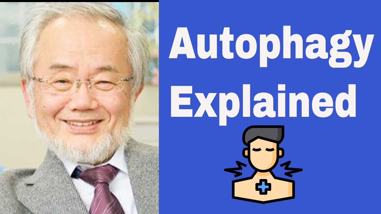 Top Autophagy Benefits (Weight Loss) | Jason Fung