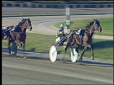 Trotto 30/10/2016 - 4ª corsa