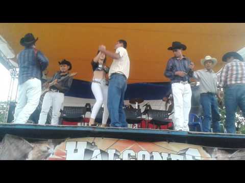 Halcones del Norte del Salvador- Tragos Amargos